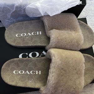 Coach ULLA Shearling Slides